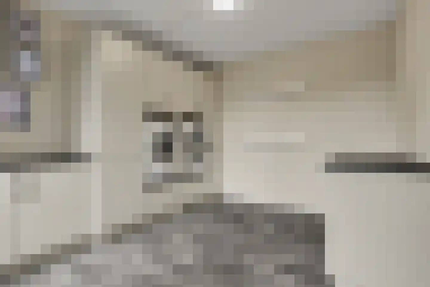 Gebroeders van Doorenstraat 10 Almelo thumbnail 20