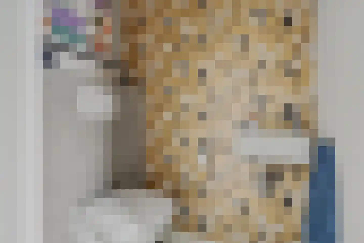 Gebroeders van Doorenstraat 10 Almelo thumbnail 8