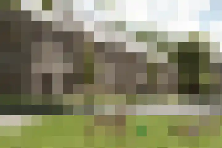 Gebroeders van Doorenstraat 18 Almelo thumbnail 5
