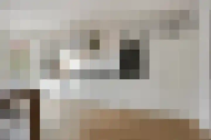 Gebroeders van Doornestraat 40 Eindhoven thumbnail 10