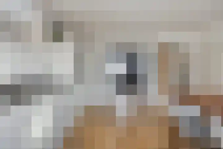 Gebroeders van Doornestraat 40 Eindhoven thumbnail 14