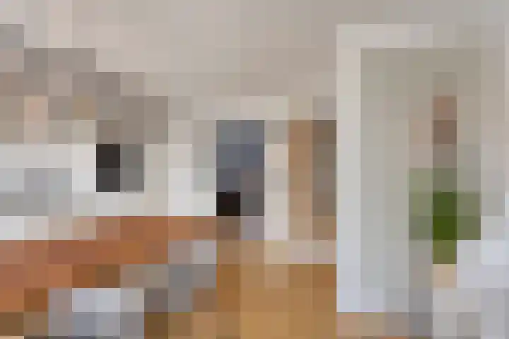 Gebroeders van Doornestraat 40 Eindhoven thumbnail 16