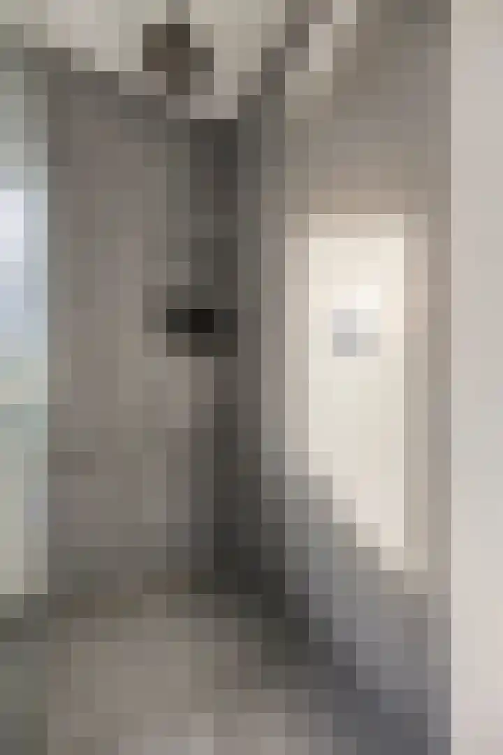 Gebroeders van Doornestraat 40 Eindhoven thumbnail 27