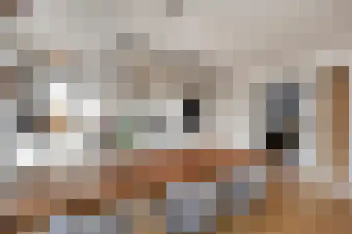 Gebroeders van Doornestraat 40 Eindhoven thumbnail 7