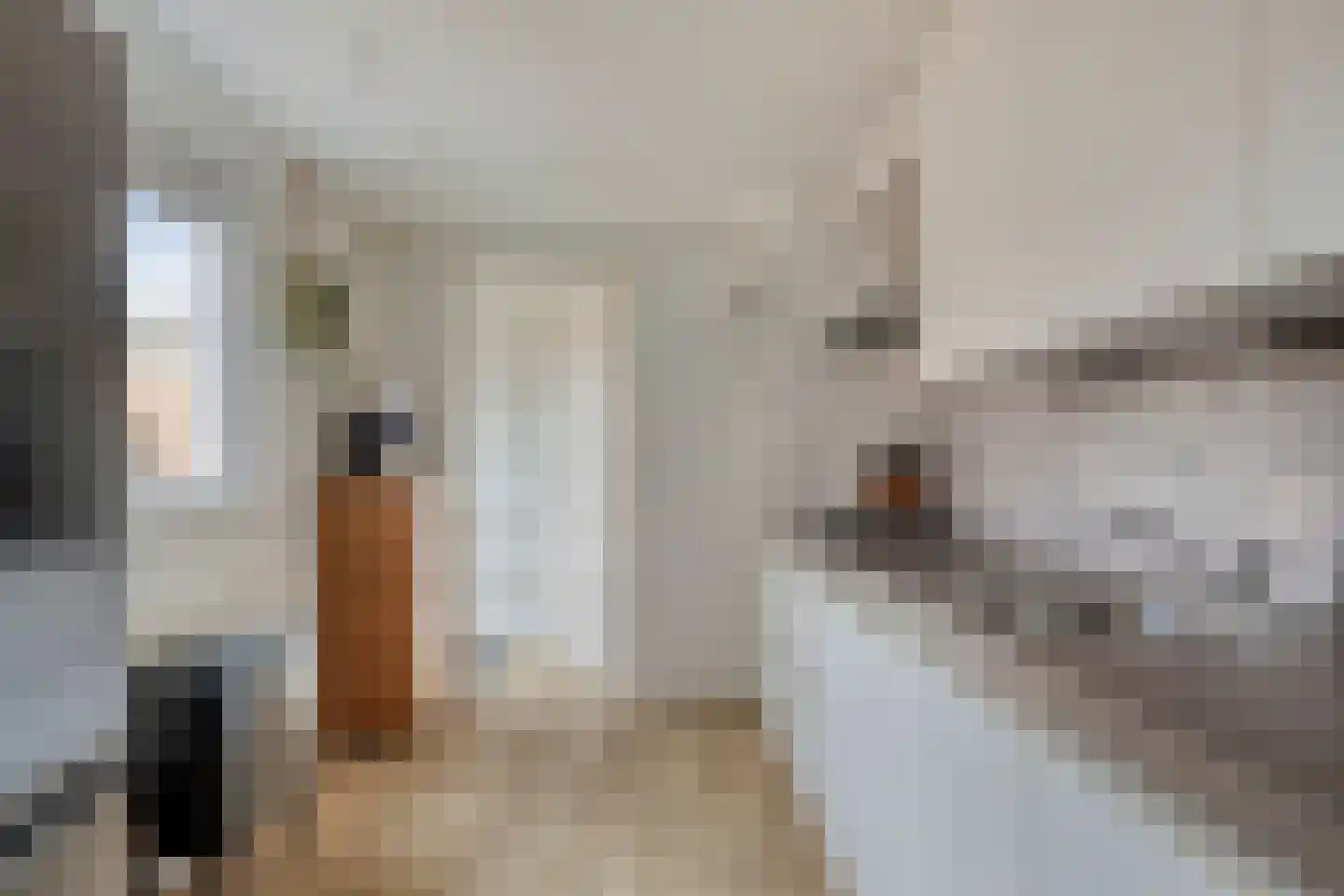 Gebroeders van Eijckstraat 10 Tilburg thumbnail 14