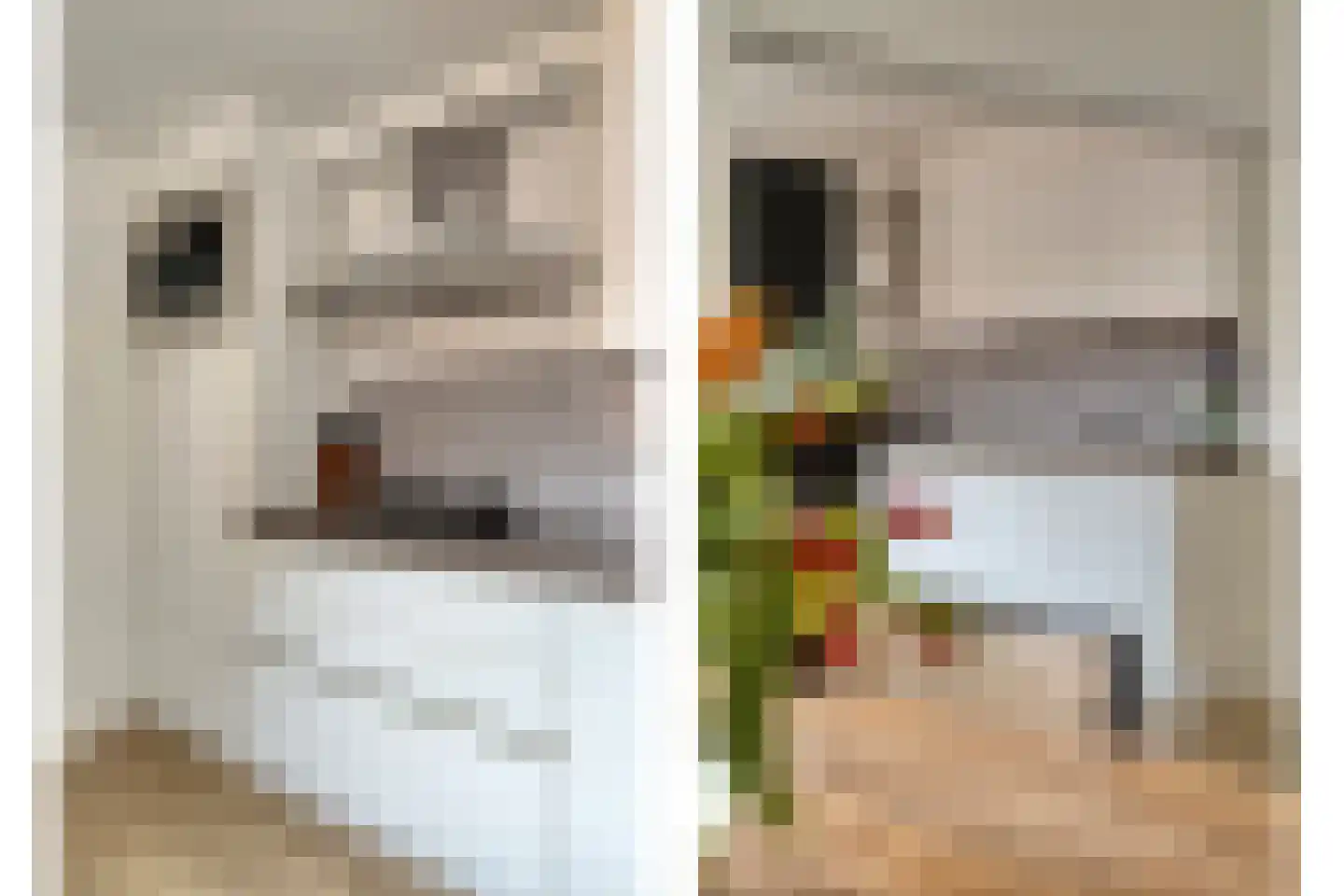 Gebroeders van Eijckstraat 10 Tilburg thumbnail 15
