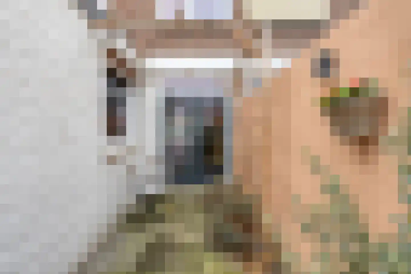 Gebroeders van Eijckstraat 10 Tilburg thumbnail 28