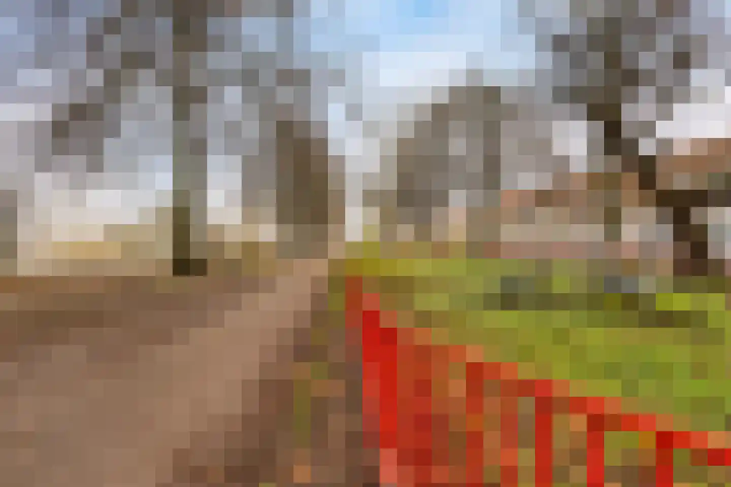 Gebroeders van Eijckstraat 10 Tilburg thumbnail 32