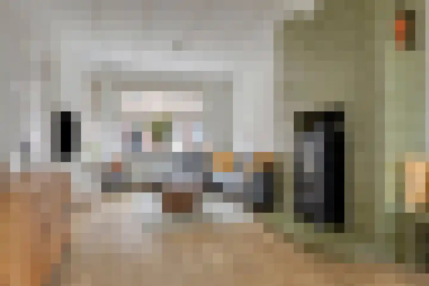 Gebroeders van Eijckstraat 10 Tilburg thumbnail 6