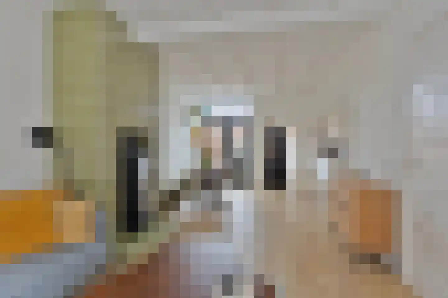 Gebroeders van Eijckstraat 10 Tilburg thumbnail 7
