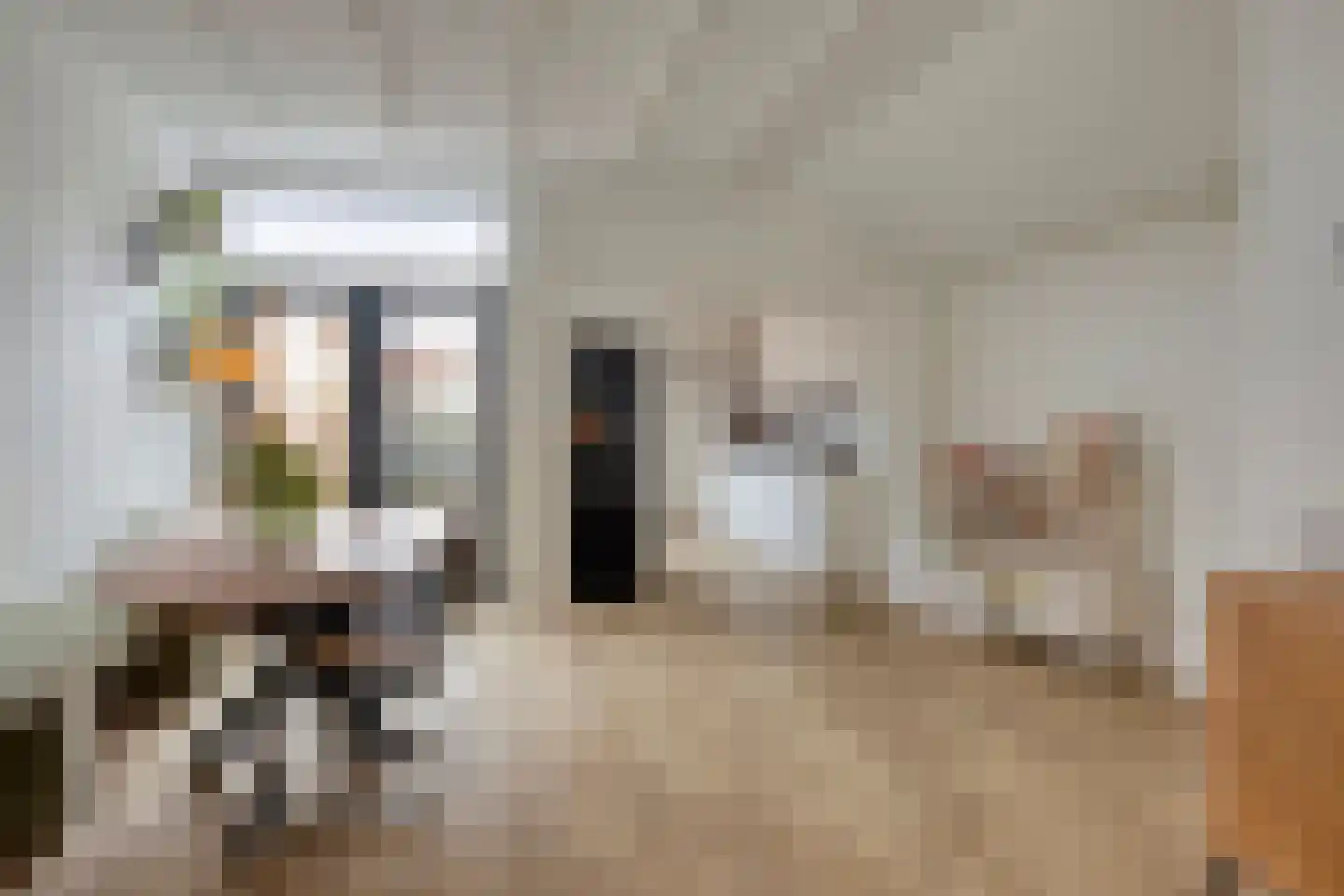 Gebroeders van Eijckstraat 10 Tilburg thumbnail 8