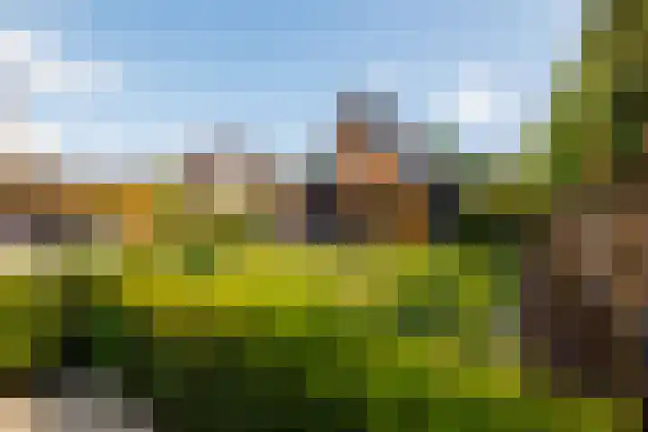 Gebroeders van Steenbergenplantsoen 10 Ede thumbnail 43