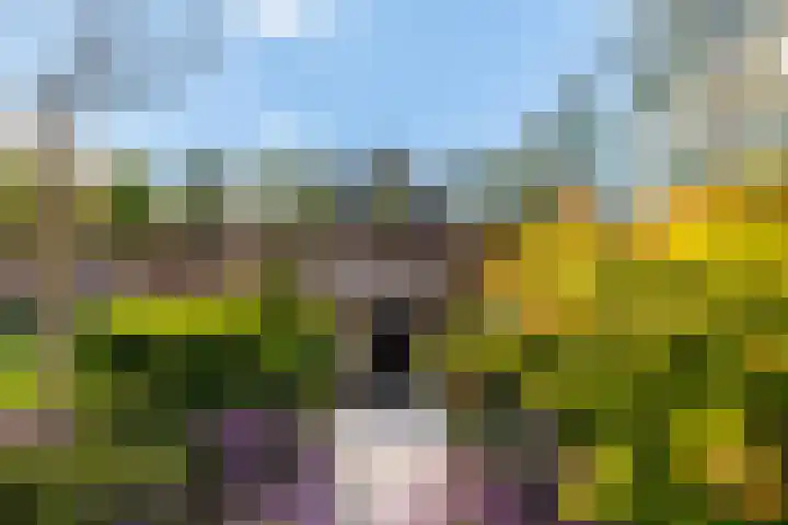 Gebroeders van Steenbergenplantsoen 10 Ede thumbnail 44