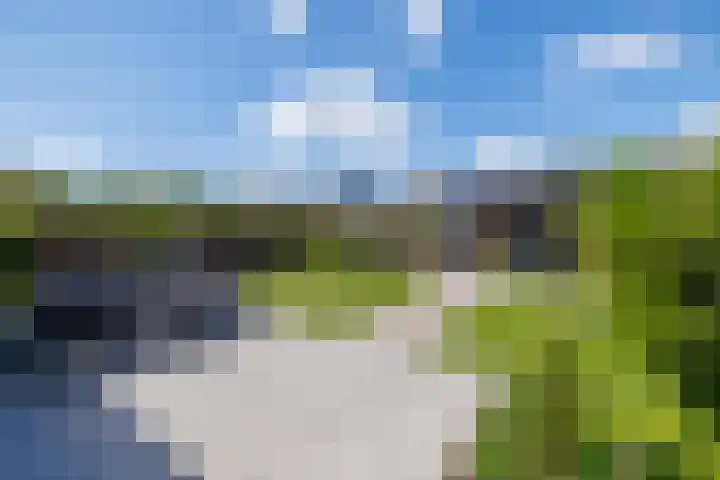 Gebroeders van Steenbergenplantsoen 10 Ede thumbnail 47