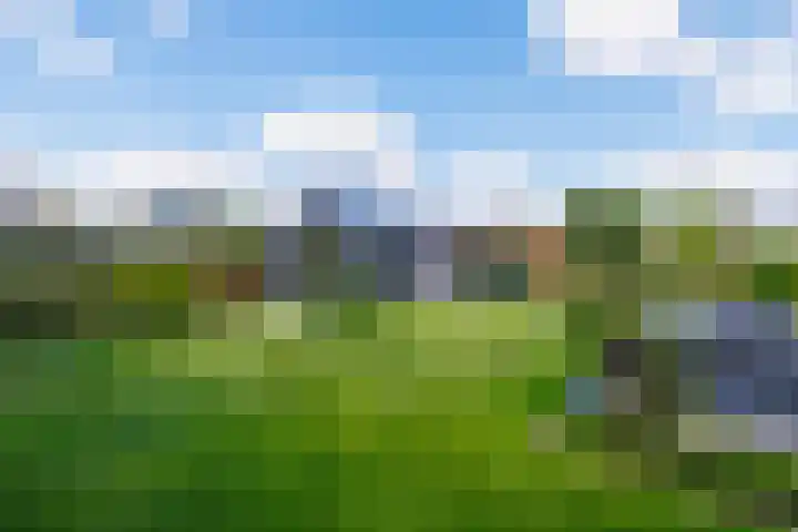 Gebroeders van Steenbergenplantsoen 10 Ede thumbnail 48