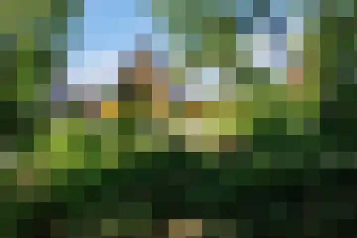 Gebroeders van Steenbergenplantsoen 10 Ede thumbnail 60