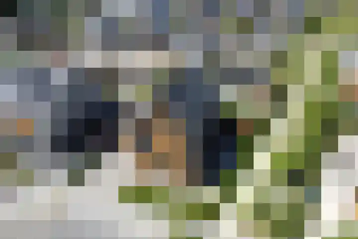 Gebroeders van Steenbergenplantsoen 10 Ede thumbnail 61