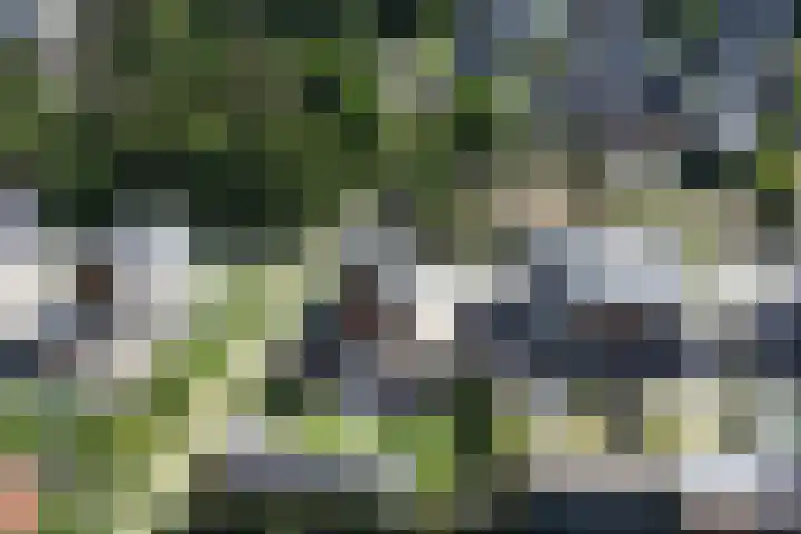 Gebroeders van Steenbergenplantsoen 10 Ede thumbnail 63