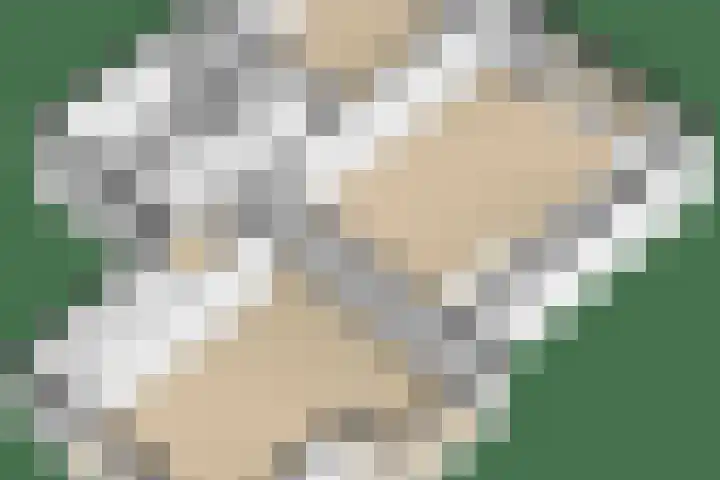 Gebroeders van Steenbergenplantsoen 10 Ede thumbnail 75