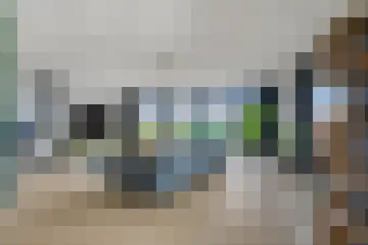 Gebroeders van Steenbergenplantsoen 21 Ede thumbnail 4