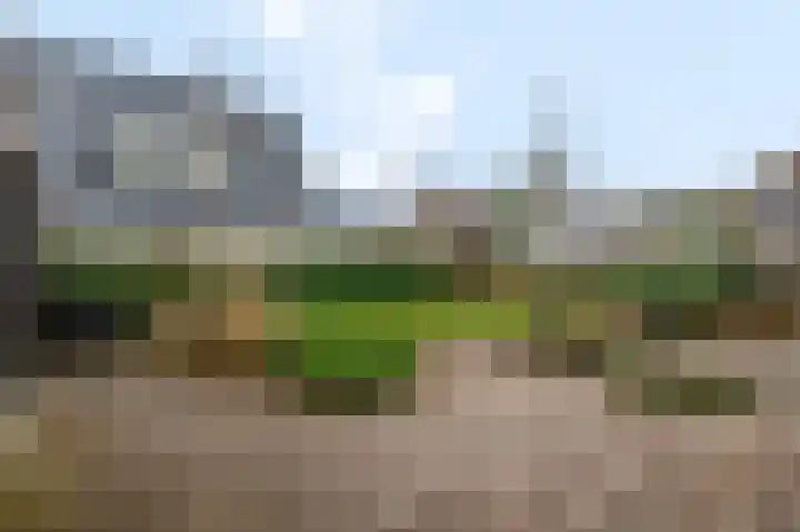 Gebroeders van Steenbergenplantsoen 21 Ede thumbnail 40
