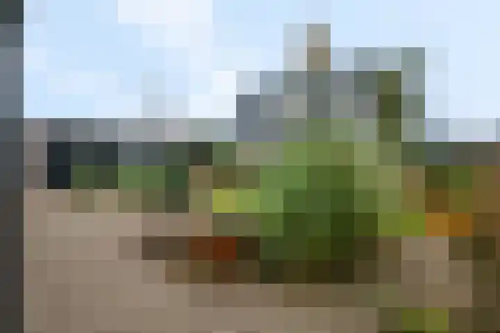 Gebroeders van Steenbergenplantsoen 21 Ede thumbnail 41