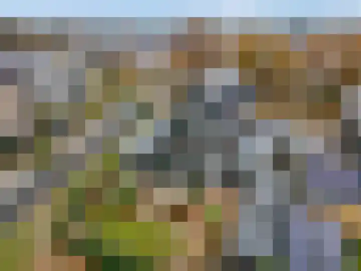 Gebroeders van Steenbergenplantsoen 21 Ede thumbnail 43