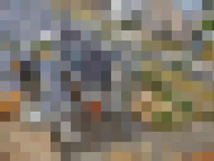 Gebroeders van Steenbergenplantsoen 21 Ede thumbnail 46