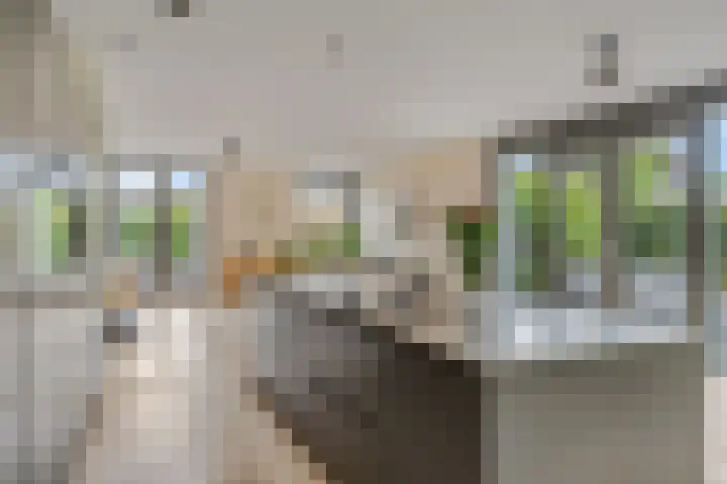 Gebroeders van Steenbergenplantsoen 24 Ede thumbnail 10