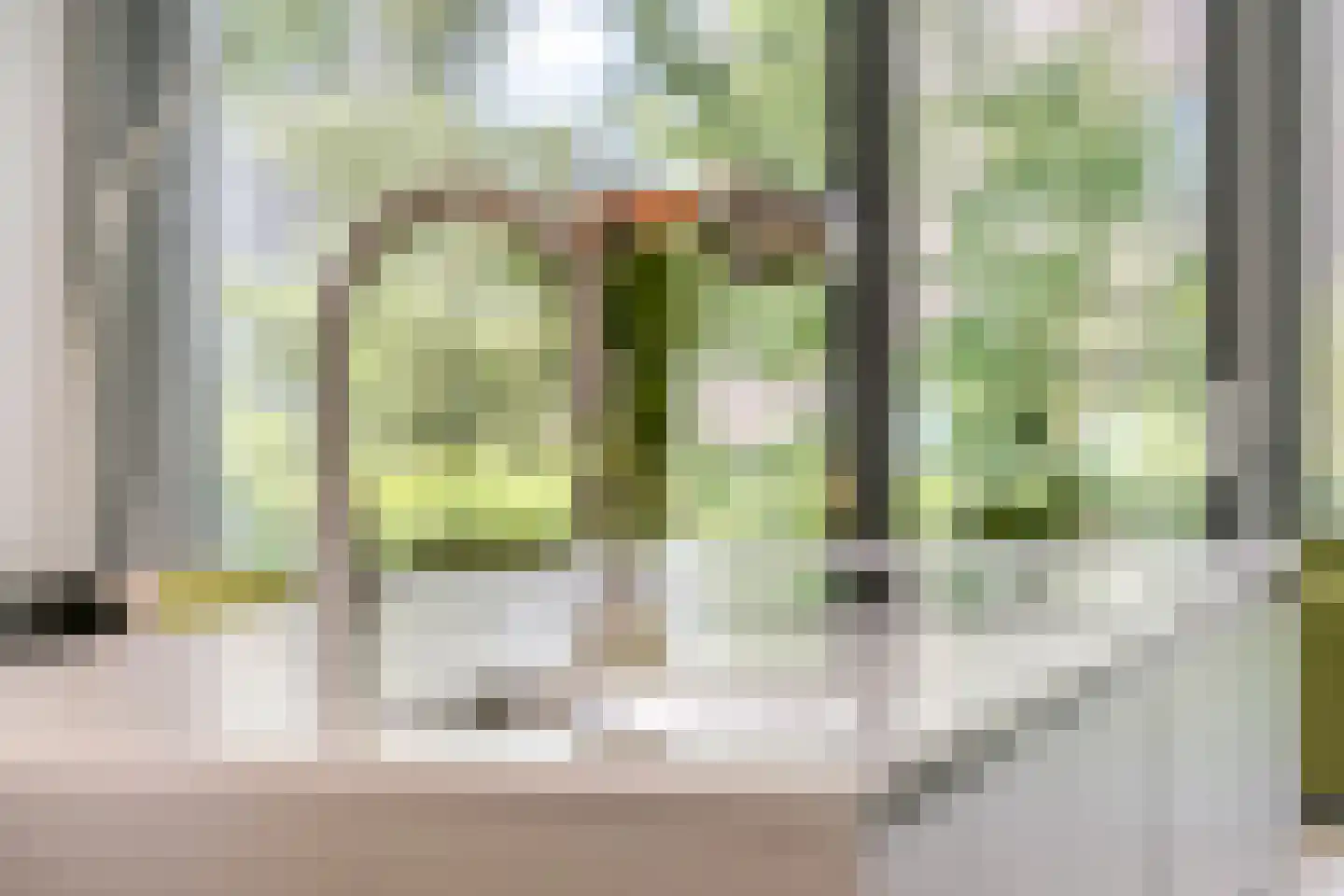 Gebroeders van Steenbergenplantsoen 24 Ede thumbnail 11