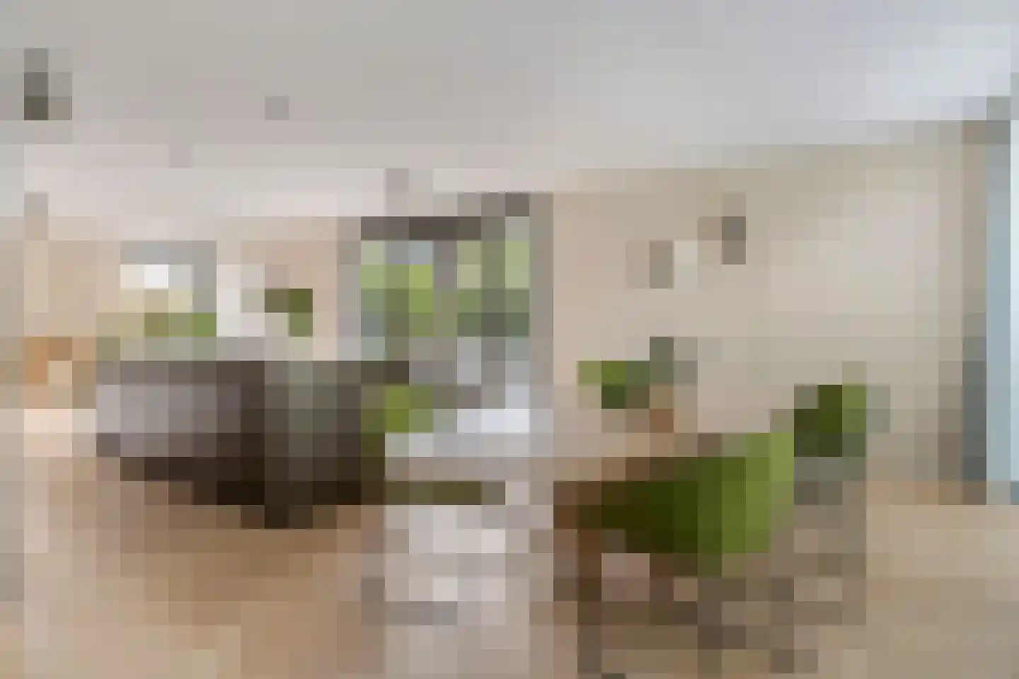 Gebroeders van Steenbergenplantsoen 24 Ede thumbnail 13