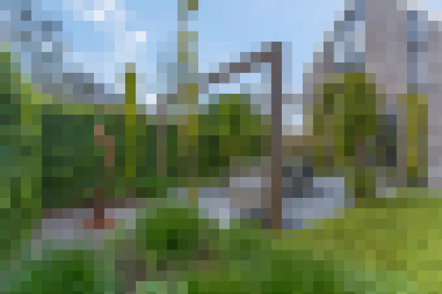 Gebroeders van Steenbergenplantsoen 24 Ede thumbnail 45