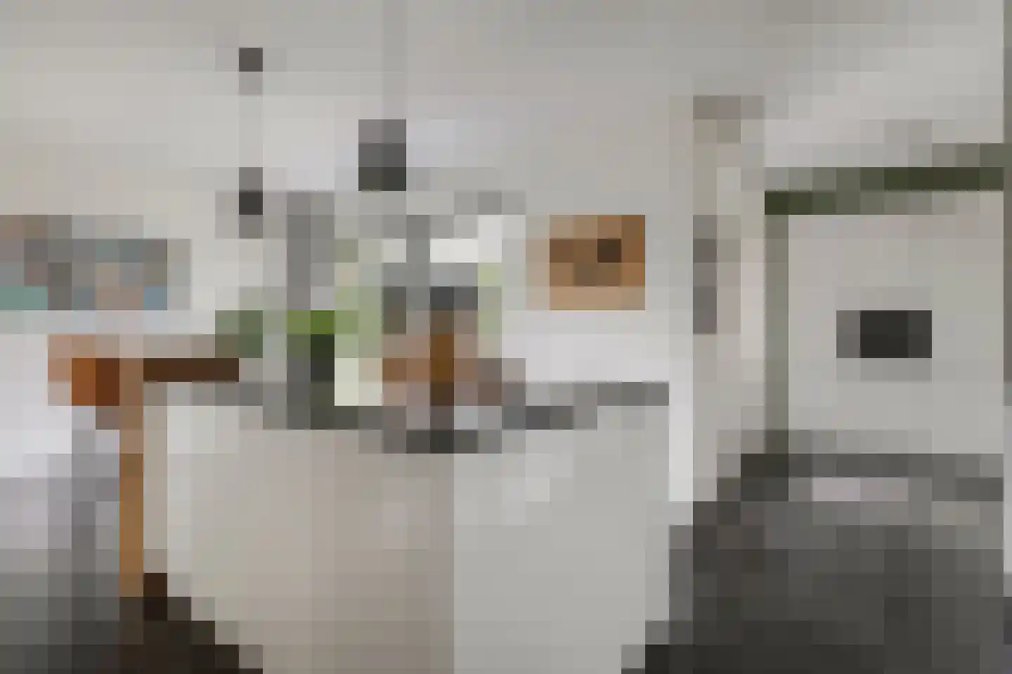 Gebroeders van Steenbergenplantsoen 3 Ede thumbnail 13