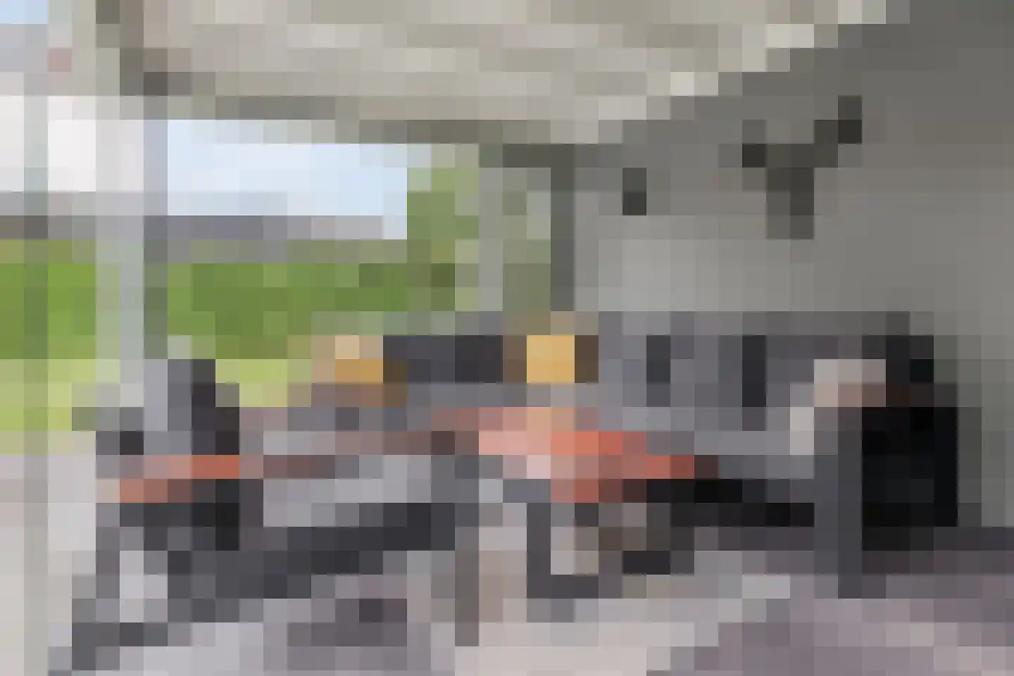 Gebroeders van Steenbergenplantsoen 3 Ede thumbnail 40