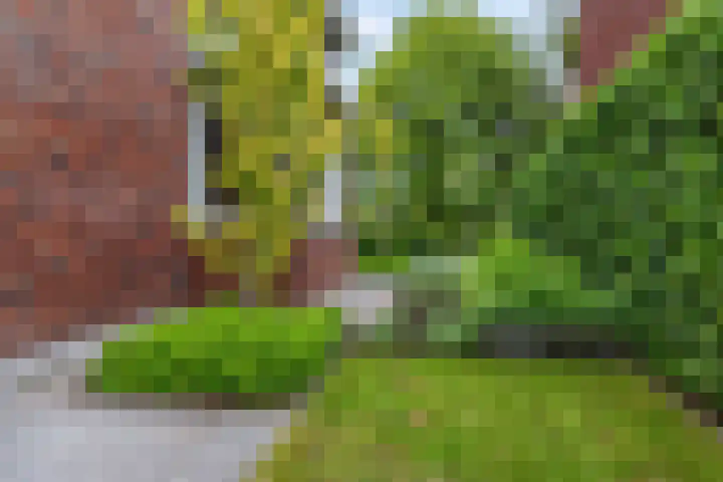 Gebroeders van Steenbergenplantsoen 3 Ede thumbnail 44