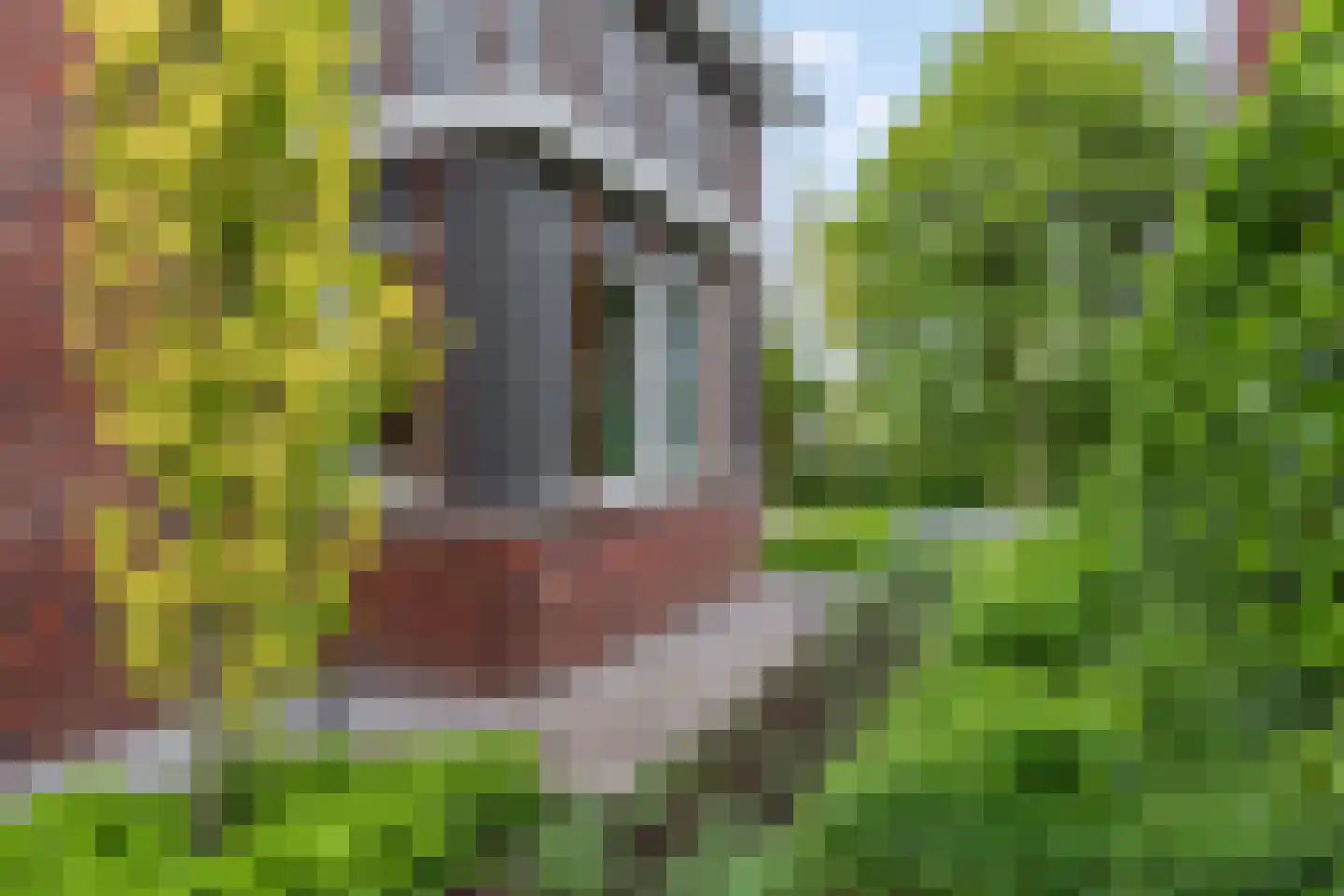 Gebroeders van Steenbergenplantsoen 3 Ede thumbnail 45