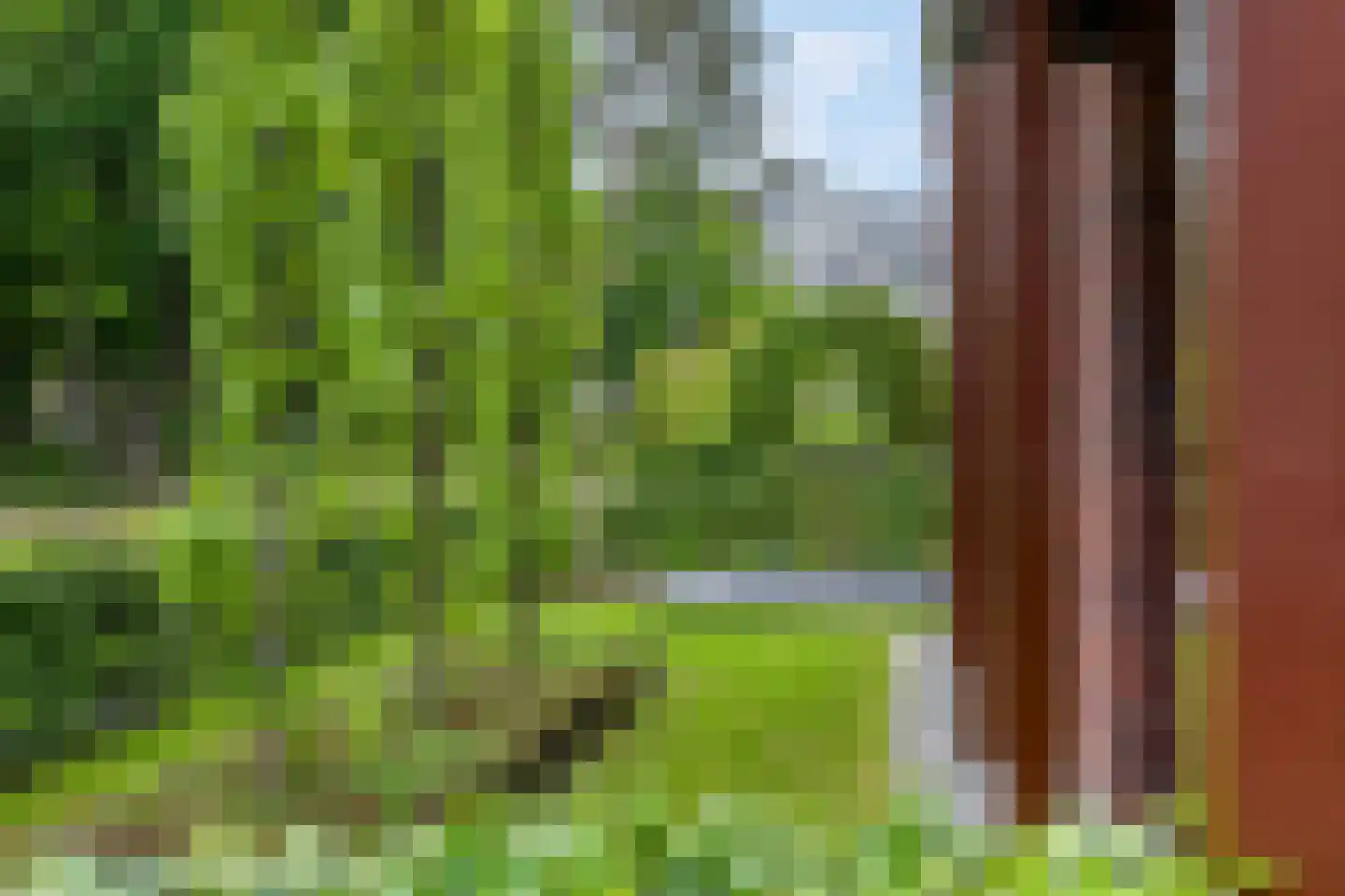 Gebroeders van Steenbergenplantsoen 3 Ede thumbnail 47