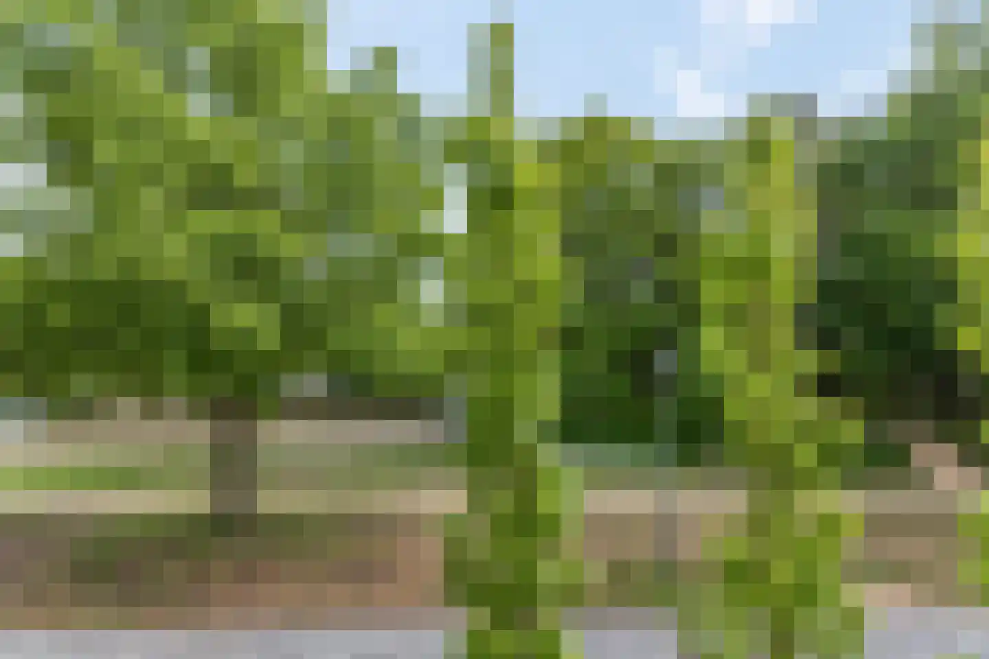 Gebroeders van Steenbergenplantsoen 3 Ede thumbnail 56