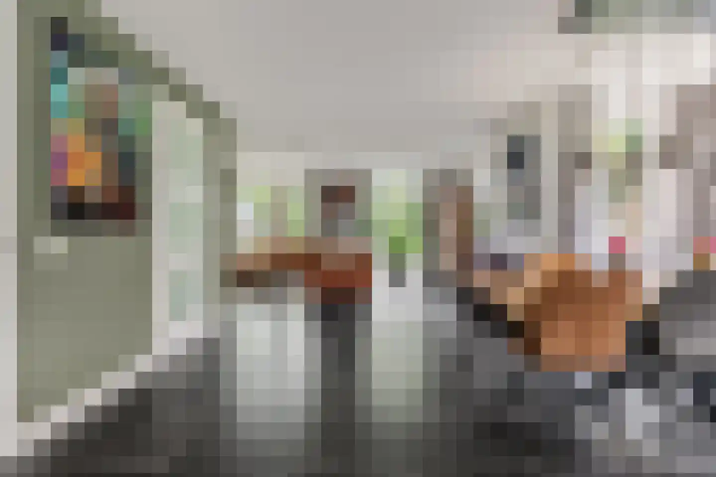Gebroeders van Steenbergenplantsoen 3 Ede thumbnail 6