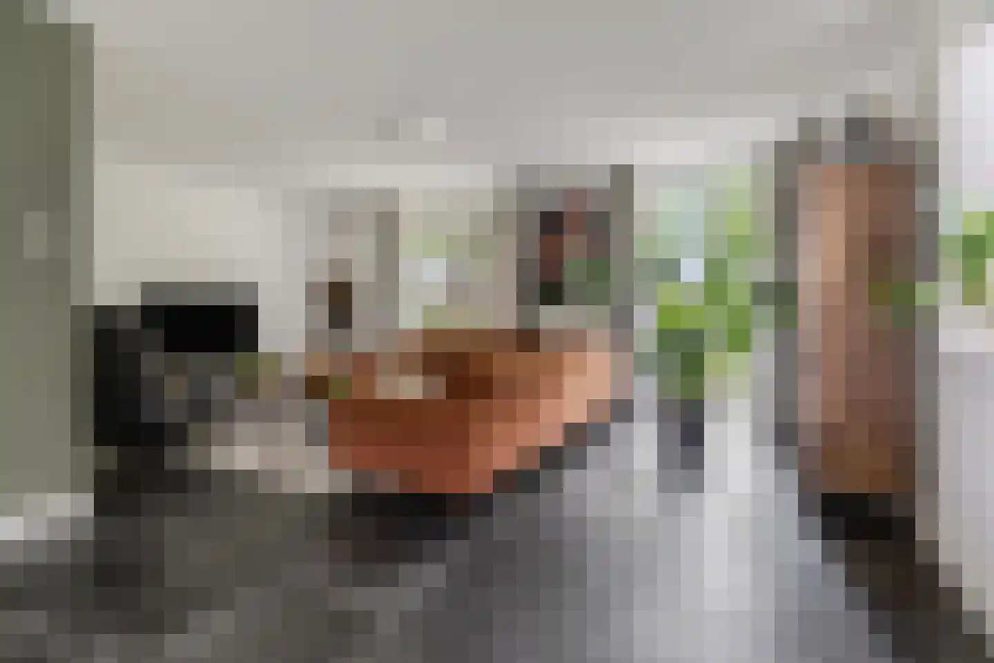 Gebroeders van Steenbergenplantsoen 3 Ede thumbnail 7