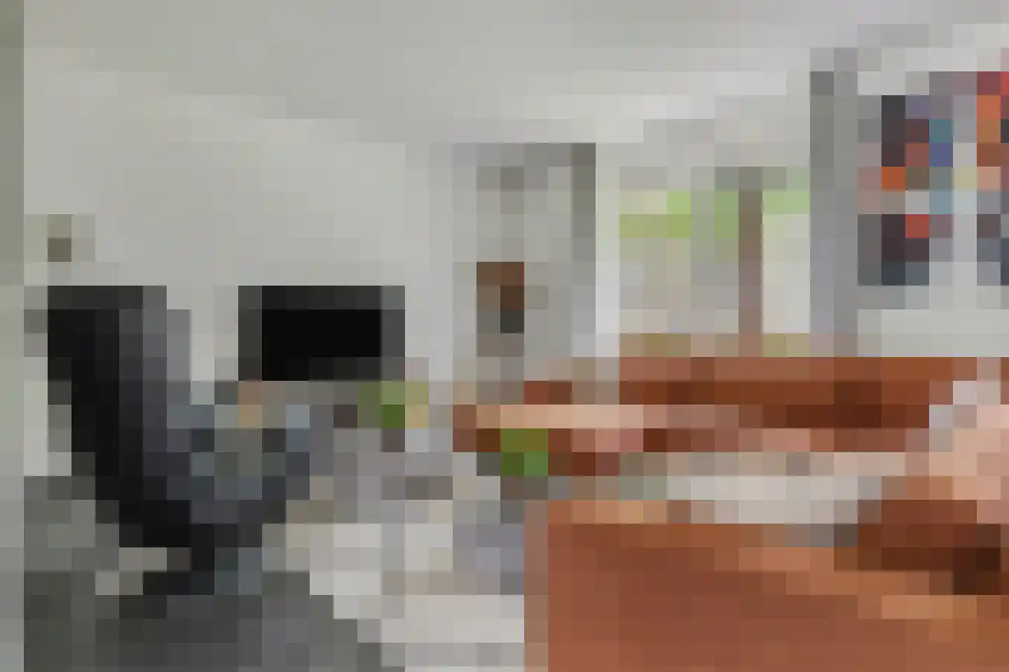 Gebroeders van Steenbergenplantsoen 3 Ede thumbnail 8