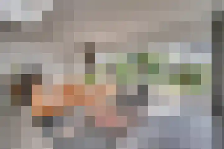 Gebroeders Wienerstraat 24 Venlo thumbnail 10