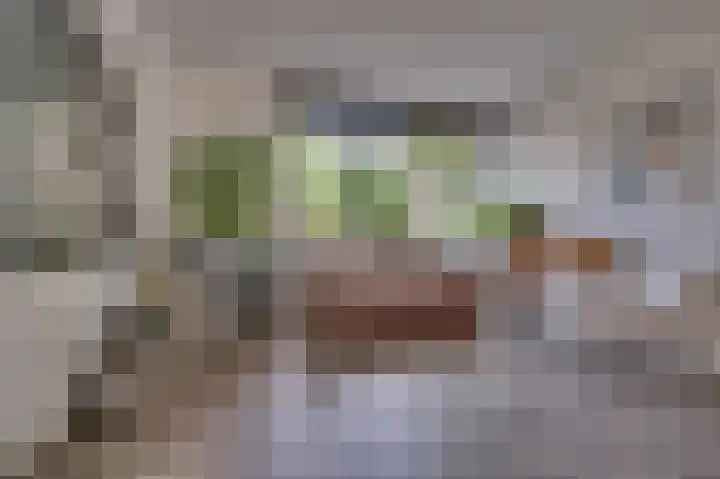 Gebroeders Wienerstraat 24 Venlo thumbnail 20