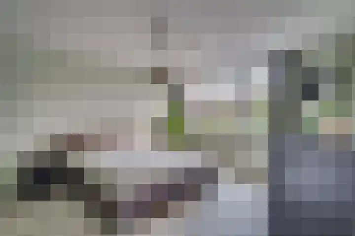 Gebroeders Wienerstraat 24 Venlo thumbnail 26