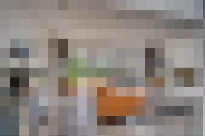 Gebroeders Wienerstraat 24 Venlo thumbnail 7