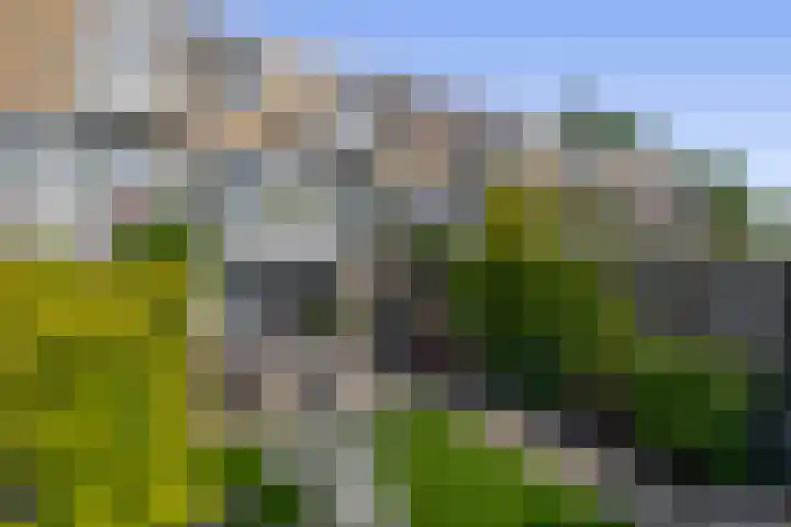 Gebroeders Wienerstraat 38 Venlo thumbnail 27