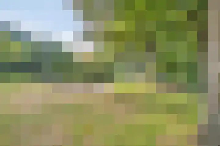 Gebroek 32 Roermond thumbnail 34