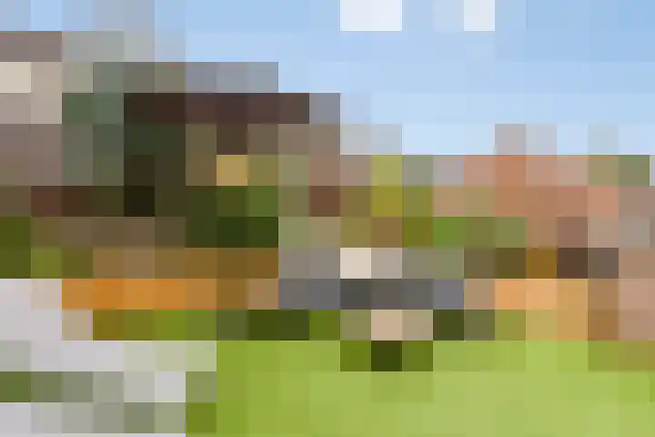 Gebroek 92 Roermond thumbnail 29