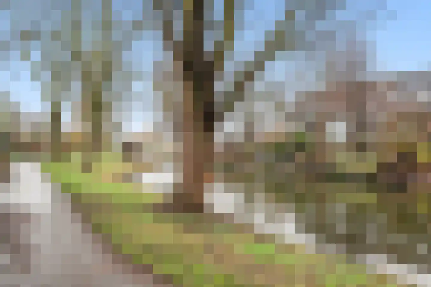 Geddingmoor 15 Nieuw-Vennep thumbnail 7