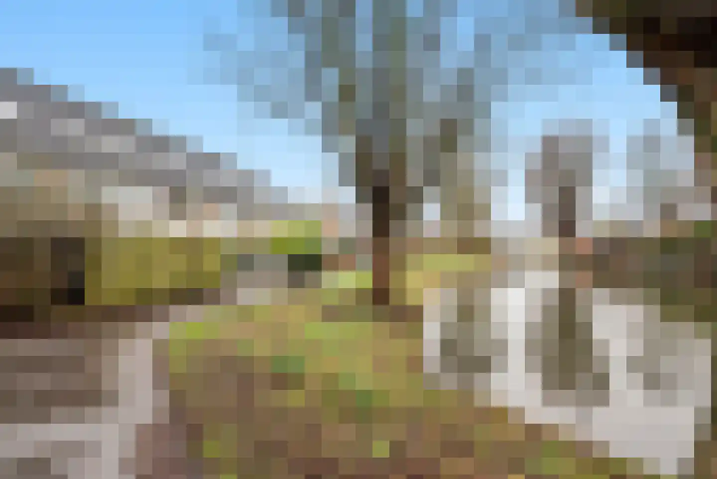 Geddingmoor 15 Nieuw-Vennep thumbnail 8